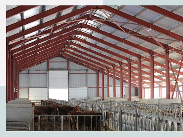 Строительство коровников в Южно-Сахалинске