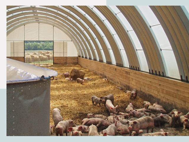 Строительство свинарников в Южно-Сахалинске